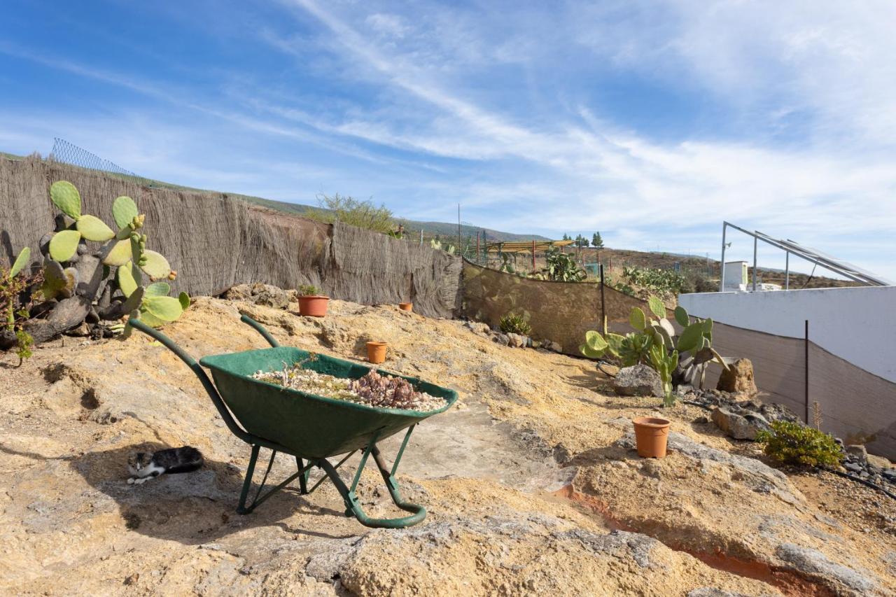 Casa Cueva Gaspara Arico Bagian luar foto